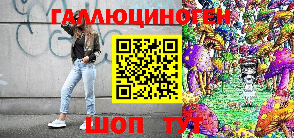 Псилоцибиновые грибы GOLDEN TEACHER  Вход с VPN  продажа наркотиков  Алексеевка  Галлюциногенные грибы GOLDEN TEACHER 