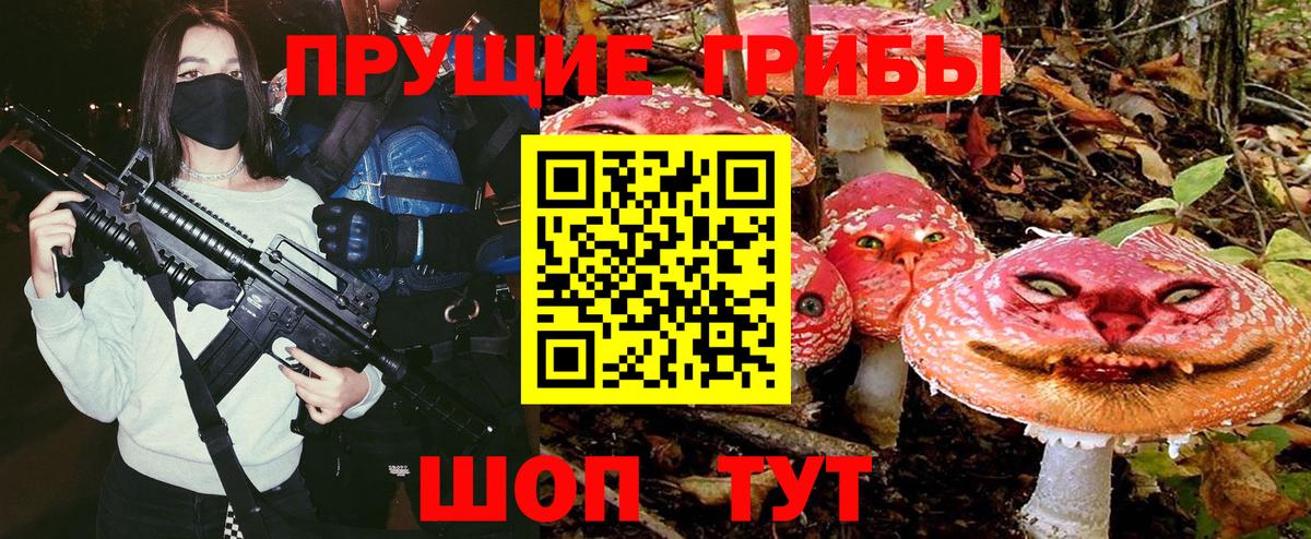 Бошки Шишки Алексеевка