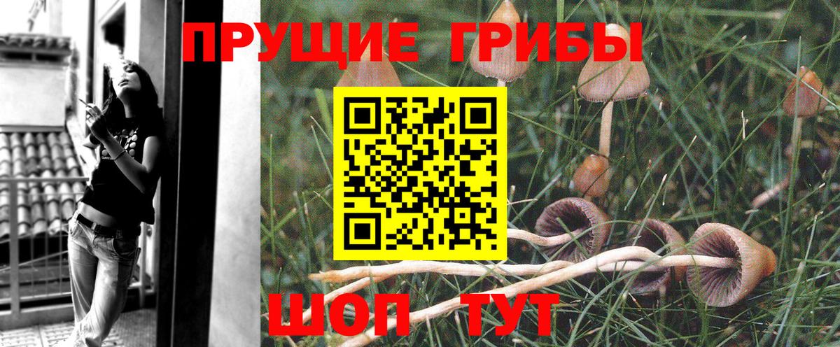 Галлюциногенные грибы ЛСД Алексеевка